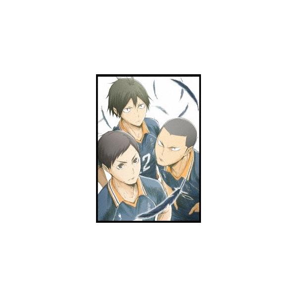 ハイキュー！！ 烏野高校 VS 白鳥沢学園高校 Vol.4 【DVD】