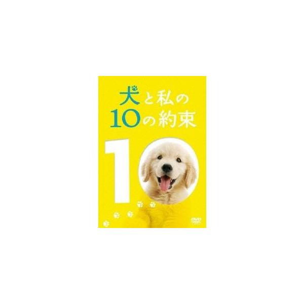 犬と私の10の約束 プレミアム エディション Dvd ハピネットオンラインpaypayモール 通販 Paypayモール