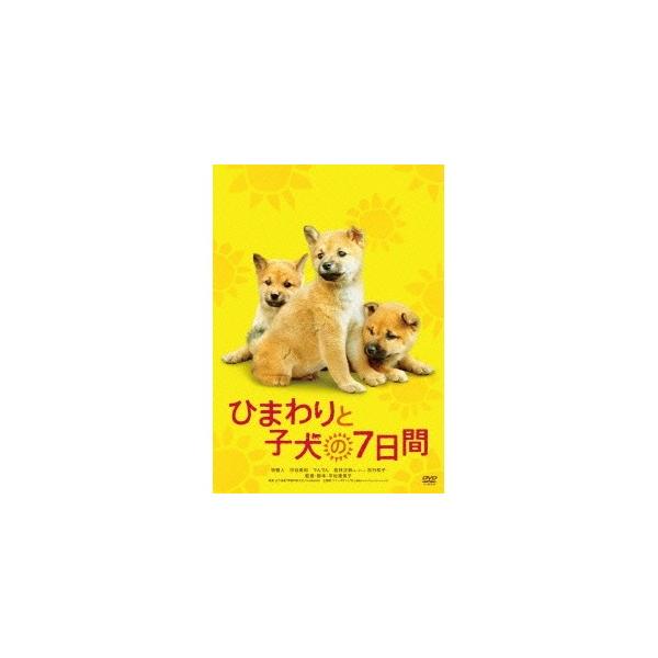 ひまわりと子犬の7日間 【DVD】