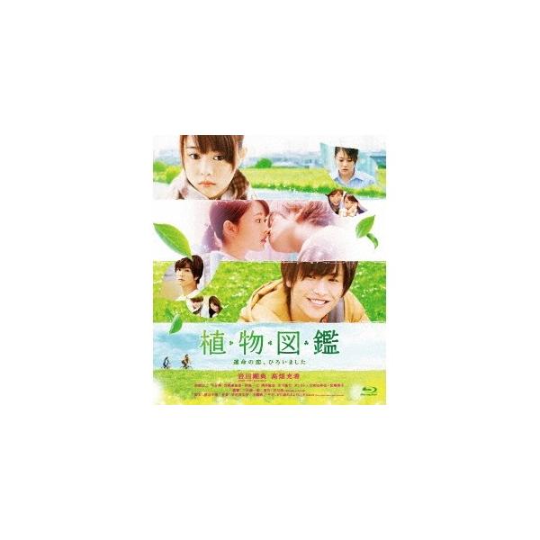 植物図鑑 運命の恋、ひろいました《通常版》 【Blu-ray】
