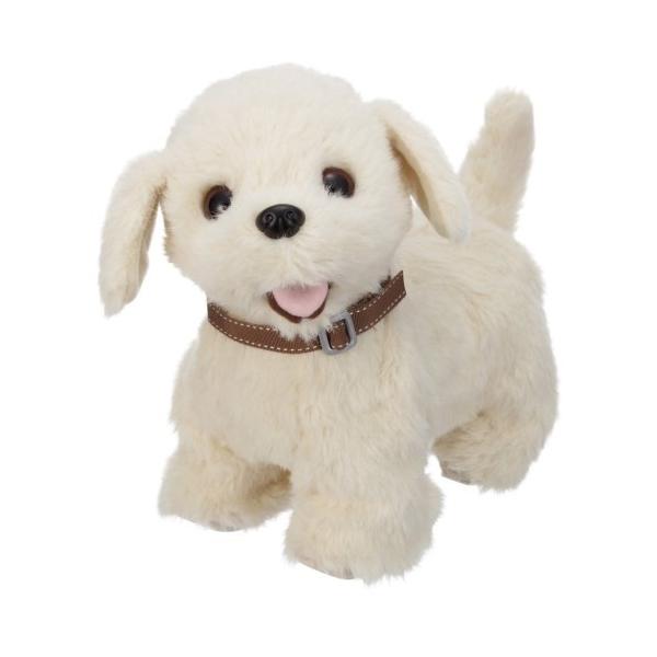 ロボット犬の人気おすすめランキング17選 ぬいぐるみタイプやリアルなものも セレクト Gooランキング