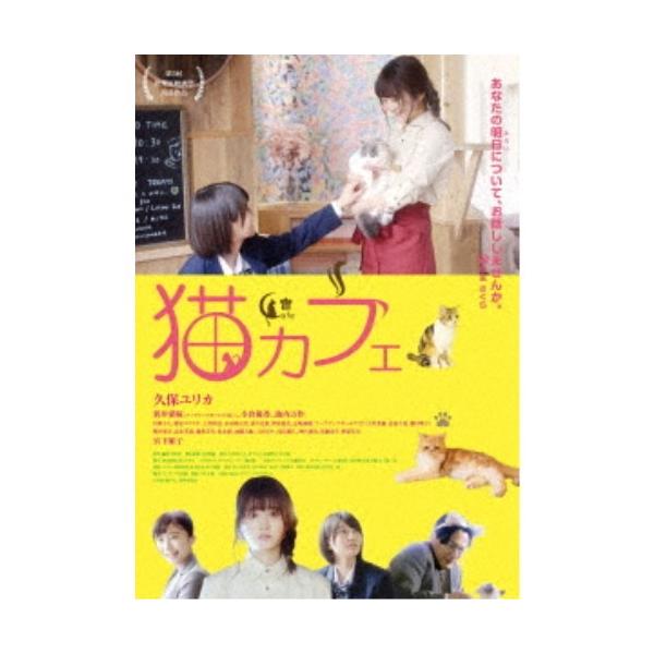 猫カフェ 【DVD】