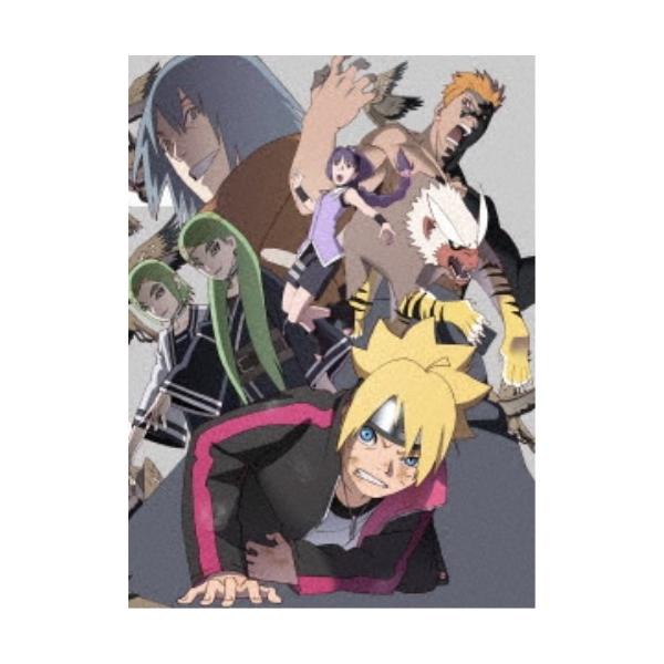 BORUTO-ボルト- NARUTO NEXT GENERATIONS DVD-BOX6 【親子の日編／呪印感染編／湯煙忍法帖編】《完全生産限定版》 (初回限定) 【DVD】