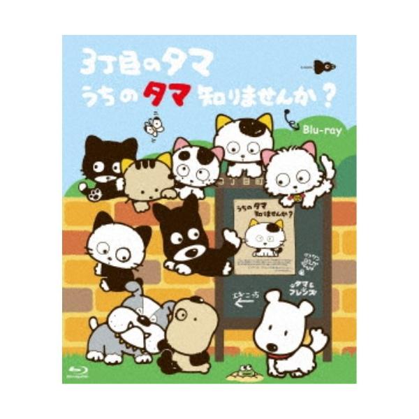 3丁目のタマ うちのタマ知りませんか？ 【Blu-ray】