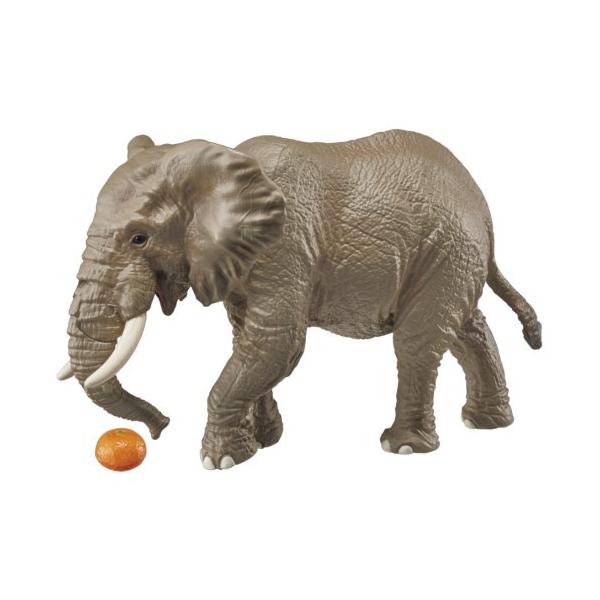 AjA AS-02 AtJ]E(IWt) ǂ q j̎q 3