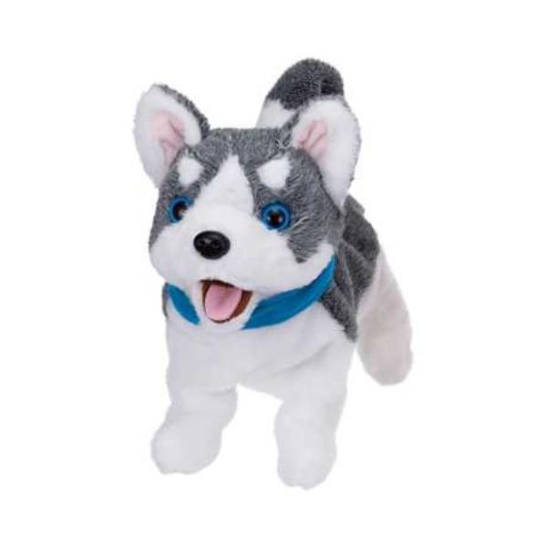 ꂵoNncIłނ nXL[ ǂ q ̎q l`V 3