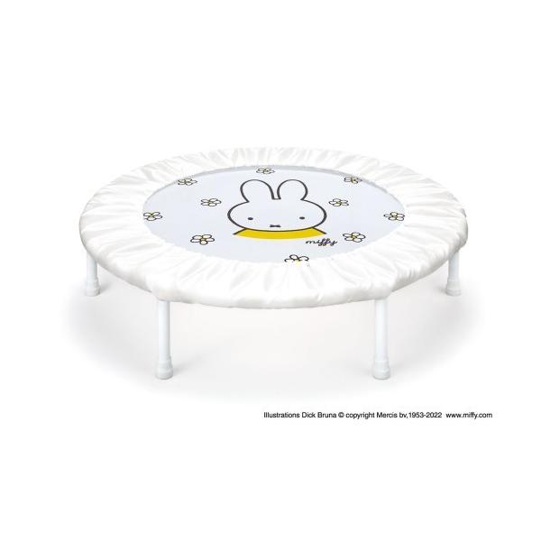 ybsOΏۊOz~btB[z[g| NX}X ǂ q m ׋ V  3