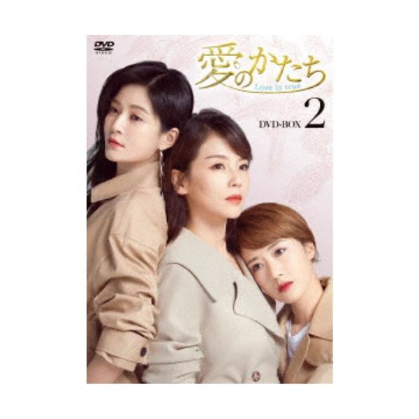 愛のかたち〜Love is true〜 DVD-BOX2 【DVD】