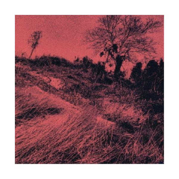 ■発送倉庫:DVD倉庫（※神奈川県からの発送）■種別:CD■発売日:2023/09/27■販売元:ソニー・ミュージックディストリビューション■収録:Disc.1／01.君の窓から(3:27)／02.子供達の朝(5:24)／03.その時(4:...