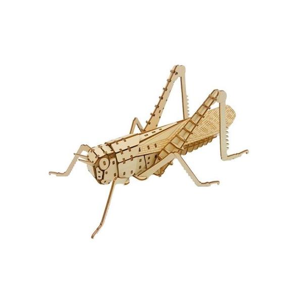 ■発送倉庫:GAME倉庫（※千葉県からの発送）■種別:ホビー■発売日:2023/09/08■メーカー:プラザクリエイト■対象年齢:10歳以上■説明:ジャンプできそうなトノサマバッタ。  つくるんです(R)オリジナルウッドパズルシリーズ・第一...