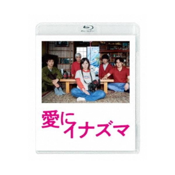 愛にイナズマ 【Blu-ray】