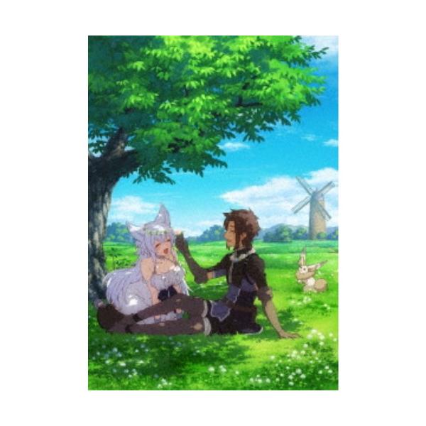 Lv2からチートだった元勇者候補のまったり異世界ライフ Blu-ray BOX 【Blu-ray】