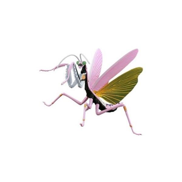 自由研究シリーズ エヴァンゲリオン編 オオカマキリ 8号機仕様 【自由研究232】 (プラモデル)