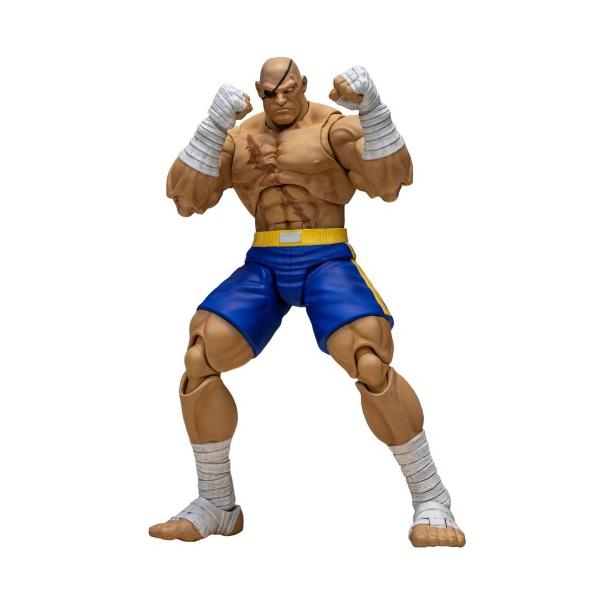 ストームコレクティブルズ ストリートファイター　サガット ストームコレクティブルズ 『ストリートファイターZERO3』 1／12