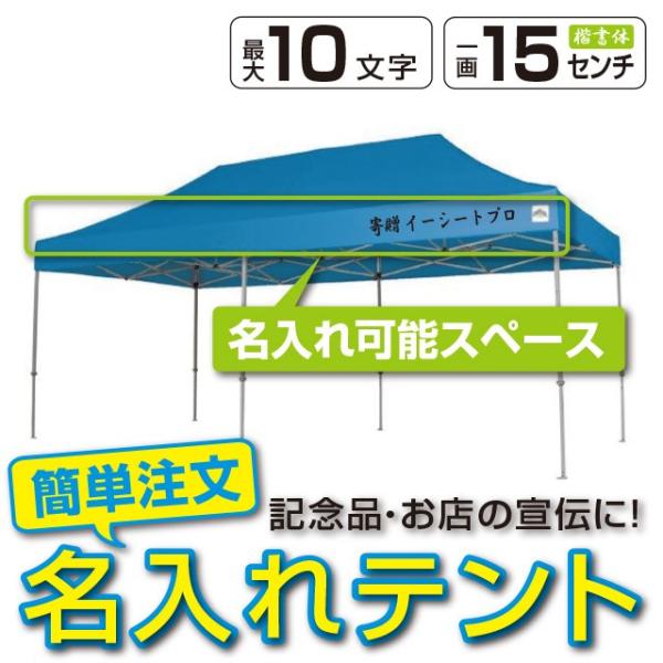 Cxgeg X`[t[ 2.4m×4.8m CARAVAN DX-C2448 ꗿ ^b`eg ^[veg v ȒP݉c  悯