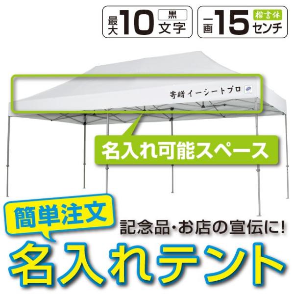 eg ^b` ^[veg 3m×6m EZ-UP DELUXE DX60 X`[t[ ꗿ  v ȒPݒu   悯