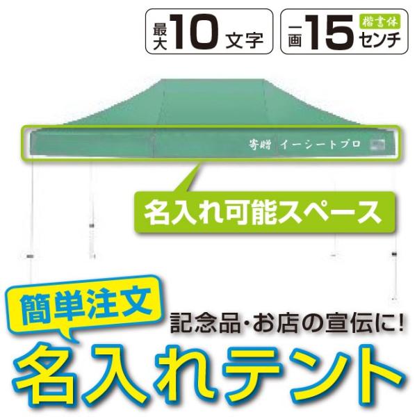 Cxgeg X`[yʃt[ 3m×4.5m CARAVAN MG3045 ꗿ ^b`eg ^[veg v ȒP݉c  悯