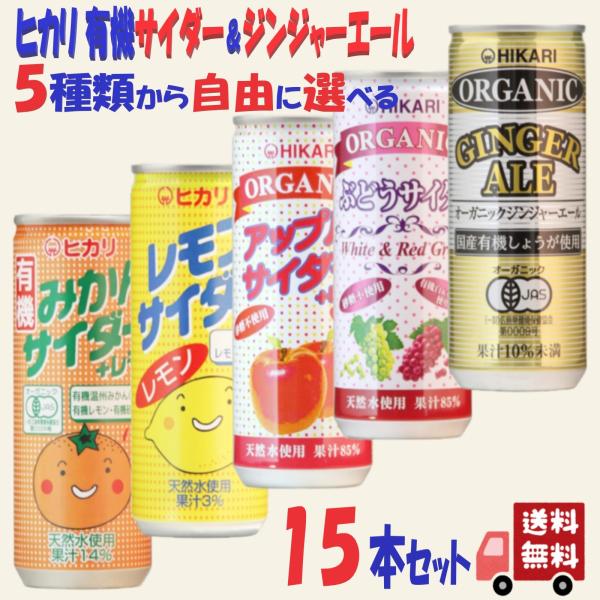 15本セット ヒカリ 5種類から自由に選べる サイダー ジンジャーエール 250ml 各3本 国産 有機 果汁 有機JAS オーガニック 炭酸飲料 無添加 まとめ買い お中元