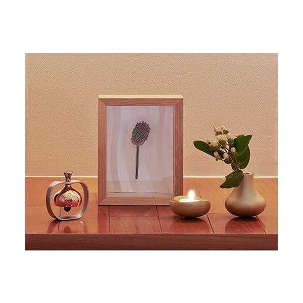 豪華で新しい即納 りんごりん 清水オンライン店の山口久乗 山口久乗 りんごりん ならショッピング ランキングや口コミも豊富なネット通販 更にお得なpaypay残高も スマホアプリも充実で毎日どこからでも気になる商品をその場でお求めいただけ