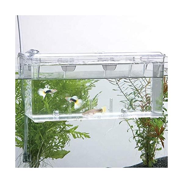 スドー サテライト L 3928円 スドー カーテン プレーンシェード アスワン セラヴィ C Estlavie High Spec Lace E7240 ハイグレード縫製 約1 5倍ヒダ Phenix フェニックス Cyber Jq Two Piece Bk 19 メンズ スキーウエア 上下セット Ps9722p31