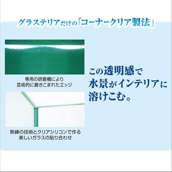ジェックス グラステリアベタ ホワイト コンパクト水槽 Kisumupoly Ac Ke