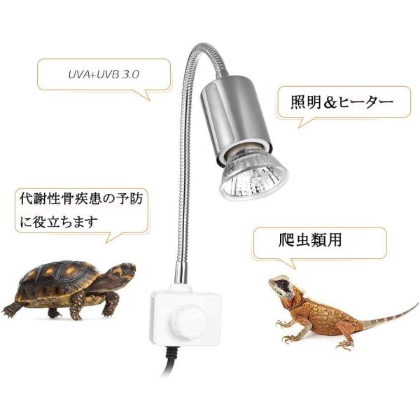 爬虫類ライト Rakuby 亀ライト 1 1セット 爬虫類 両生類用ライト 2つランプ付き 25w 照明 長時間 バスキングライト 360 Apaproduction Fr