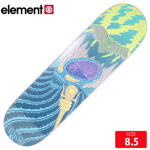 ELEMENT（エレメント） スケボー デッキ ELEMENT TETSUNORI TAWARAYA