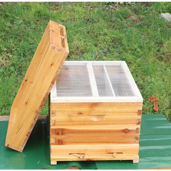 【商品詳細】サイズ：外側サイズ51*41*26cm 厚さ：2cm素材：杉木重さ：約8kgバンブルビー巣箱 蜜蜂 ミツバチ 飼育巣箱 みつばち飼育用巣箱 杉木製巣箱 初心者用可能 養蜂器具 養蜂用品
