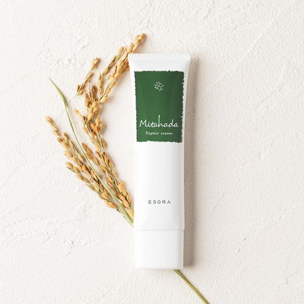 LPS@eN[ Mitahada ~^n_N[ ہ@t[ _ XLPA 炬