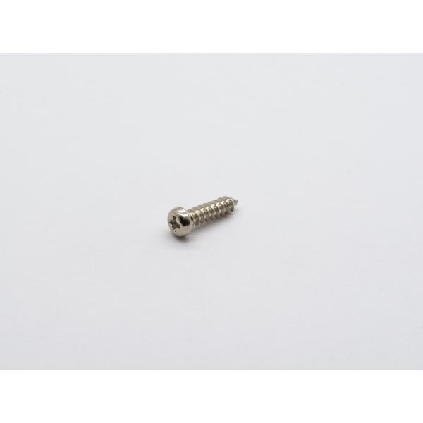 ペグビス 2.6x10 SET (6) Nickel