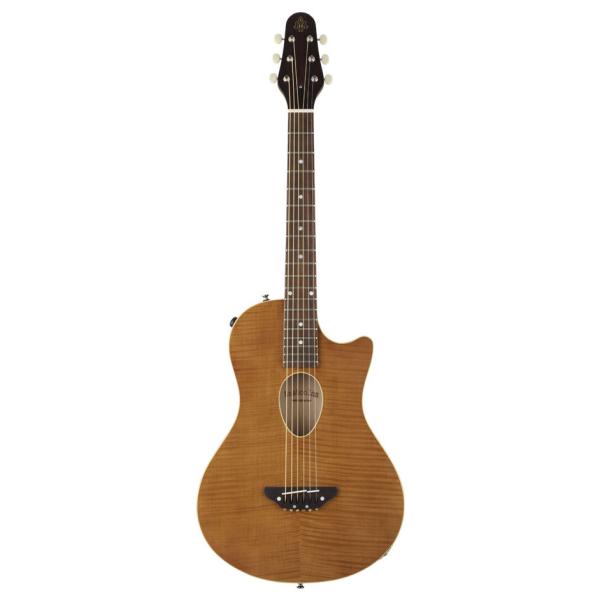ESP BambooInn CHAR氏プロデュース　ガット弦タイプ esp-bigboss_724151