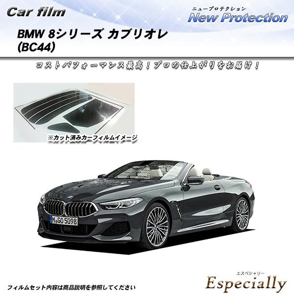 BMW Z4 (G29) (HF20/HF30) ニュープロテクション カット済みカーフィルム リアセット
