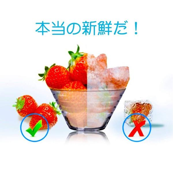 Hanshumy 冷蔵庫冷温庫保温保冷庫保温保冷ポータブル便利な携帯式ミニミニサイズ小型静音低騒音冷凍車車載車 Buyee 日本代购平台 产品购物网站大全 Buyee一站式代购