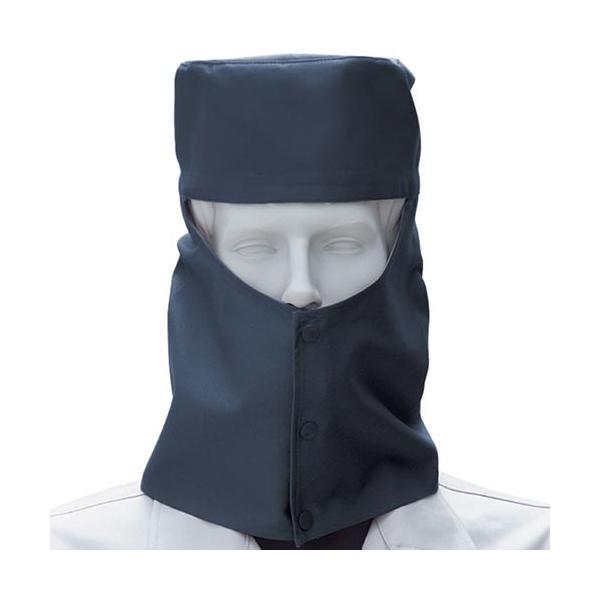 Ka SOWA nږX  M`LLTCY  10013 1 lCr[ Y fB[X ƒ ƕ [NEFA EGA Xq o}XN