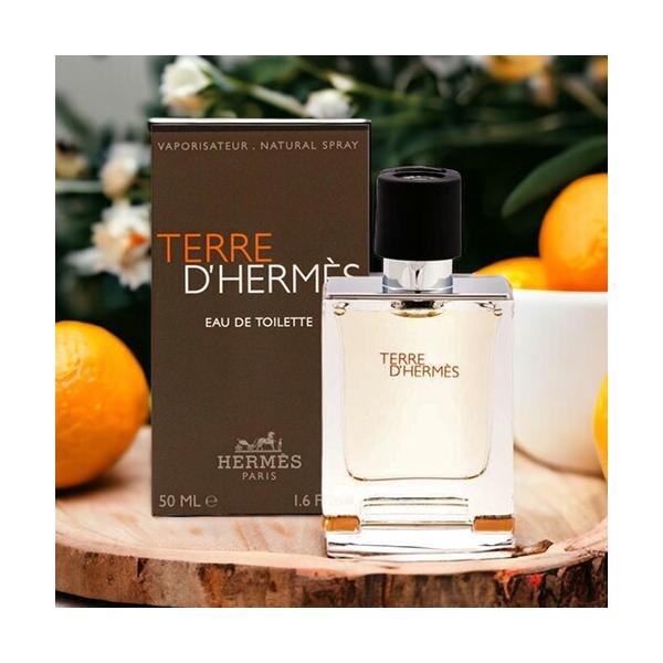 エルメス HERMES テール ドゥ EDT 50ml TERRE D 香水 メンズ エルメス HERMES テール ドゥ EDT 50ml TERRE D 香水 メンズ