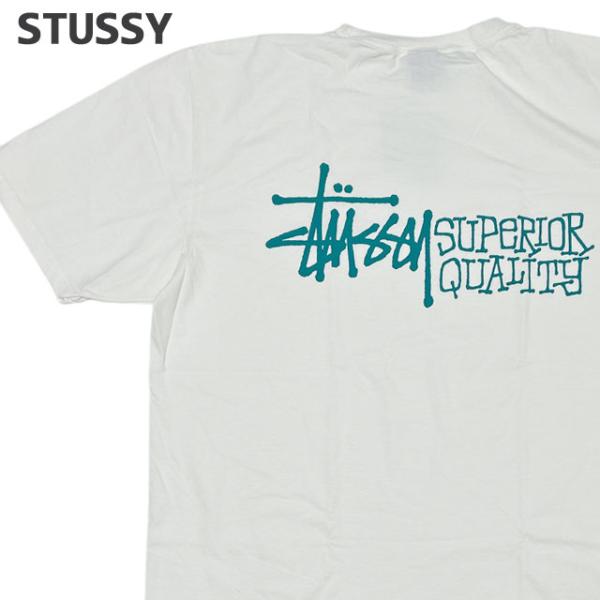 STUSSY（ステューシー） 新品 STUSSY SUPERIOR QUALITY PIG.DYED TEE T