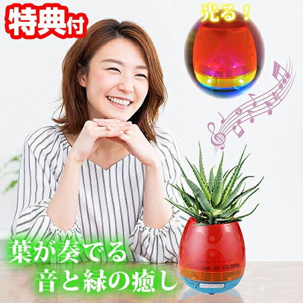 観葉植物 小さい 葉 花瓶の人気商品 通販 価格比較 価格 Com