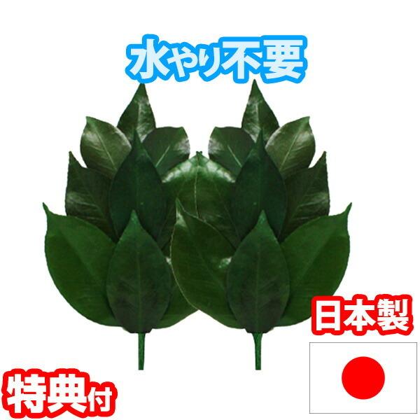 vU[uh STCY FS-002S sv OgY ֗t  _lI  TJL vU[uhH  ~jTCY Y _Ip vU[uht[