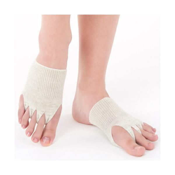 OEw΍ Ci[T|[^[ C \bNX