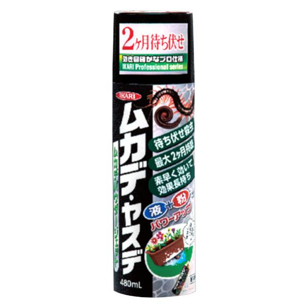 JfpE_[WFbg ނ S ގ 쏜    