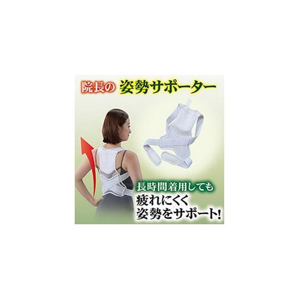 sN[|zzt@̎pT|[^[ { pp⏕xg gуJC|Pbgt