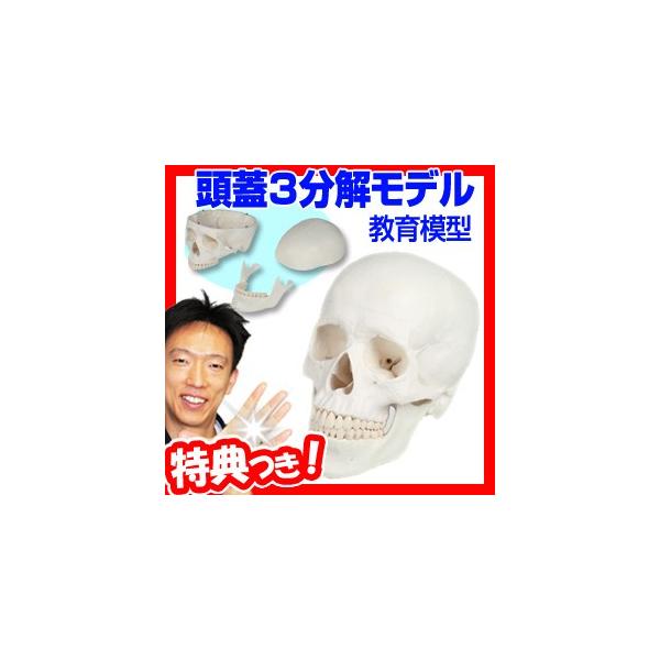 sN[|zztW W3f ͌^  i͌^ ͌^ KCRc  [ [͌^