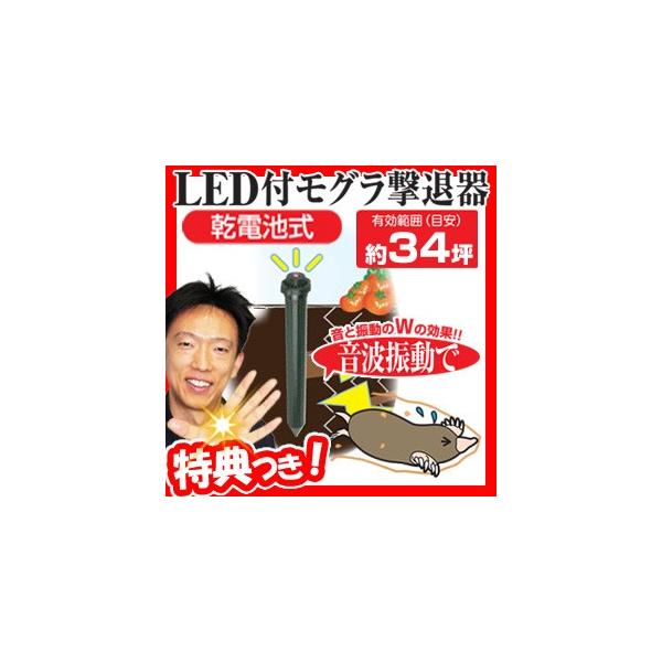 防虫 防獣資材 モグラ退治の人気商品・通販・価格比較 - 価格.com