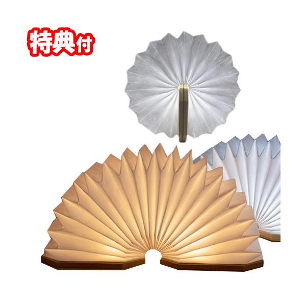 EXELUX AR[fBILEDCg SZSAL-WEHibg GO[bNX USB[dCg Ɩ Cg CeAƖ Jpx fUC