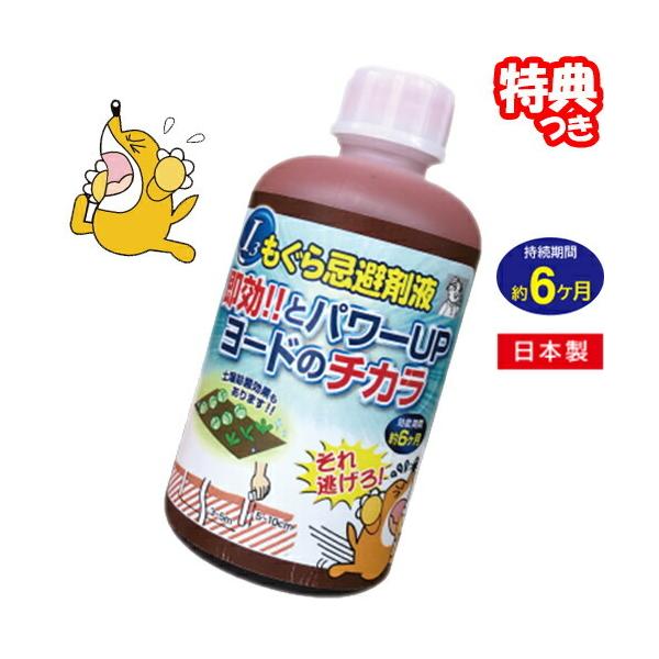 ܉t 250ml { O ΍ Qb΍ [h̃`J ̌EfŊ񂹕tȂ Ԗ6 O  ގ 쏜