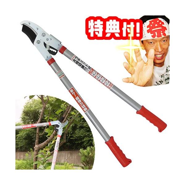 EG`Fbg }Ή } DG-3 } }؂ }؂苲 }؃nT~ }؂oT~ K[fjO |  _ }؃nT~