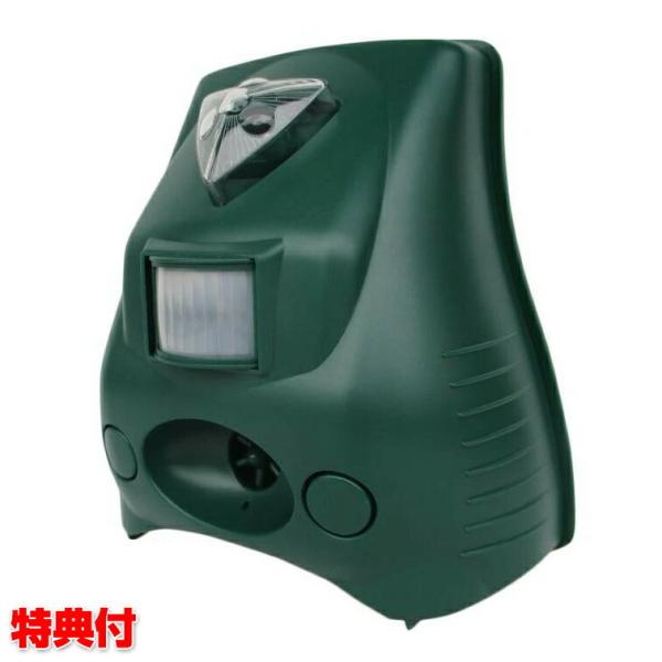 ELE h dr hbpi Qb΍ Q΍ mL lR L Qb ΍ ǌ΍  t }[LO ΍ hJo[t