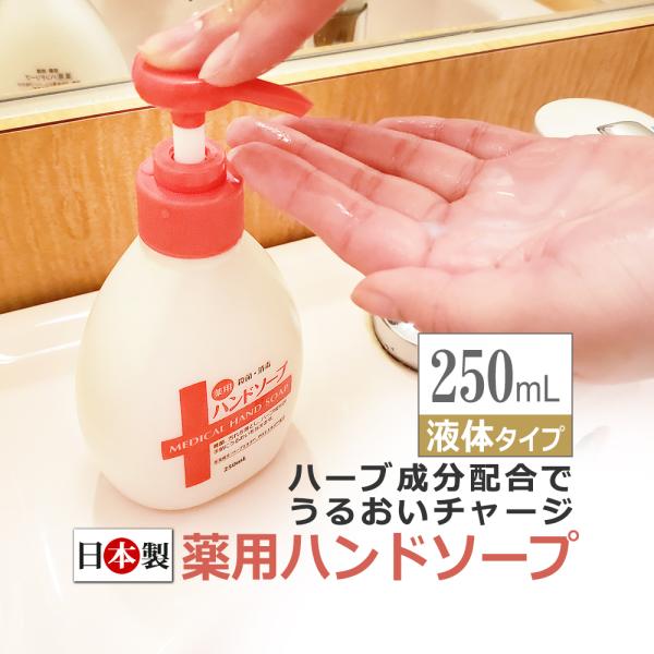 日本製 薬用ハンドソープ シルキーハーブ　250ml 医薬部外品 / 即日発送