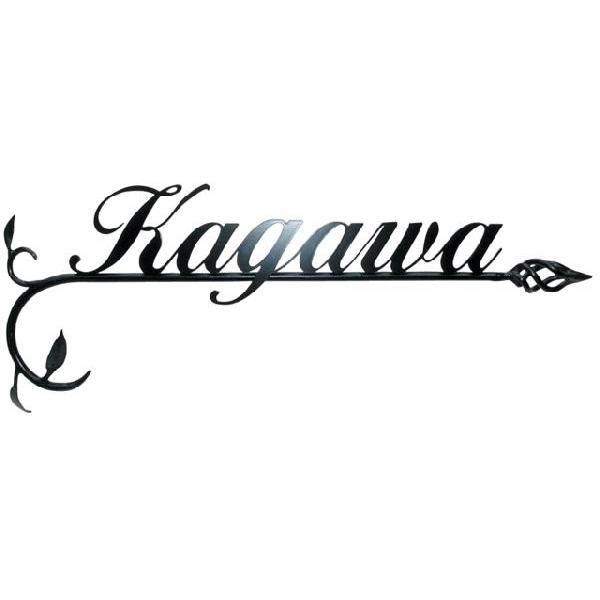 \D ACA ACA\D \D ˌ \D IS-10 t [t nhCh TCv[g l[v[g Vv O O\