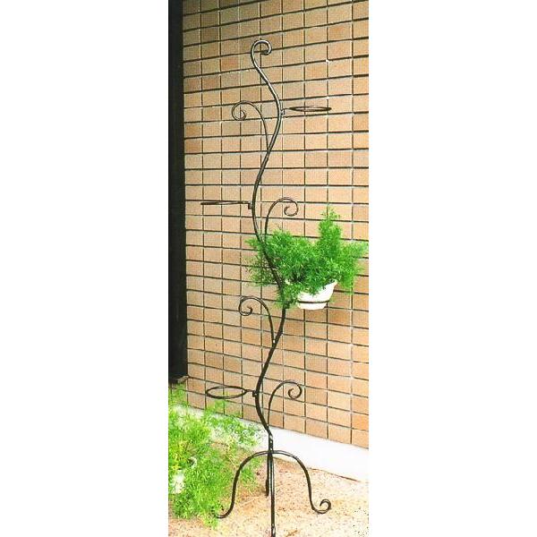 t[X^h ACA S^ (v^[ |bg) K[fjOObY |pi chx